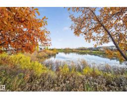 9416 206 St Nw, Edmonton, AB T5T4P1 Photo 48