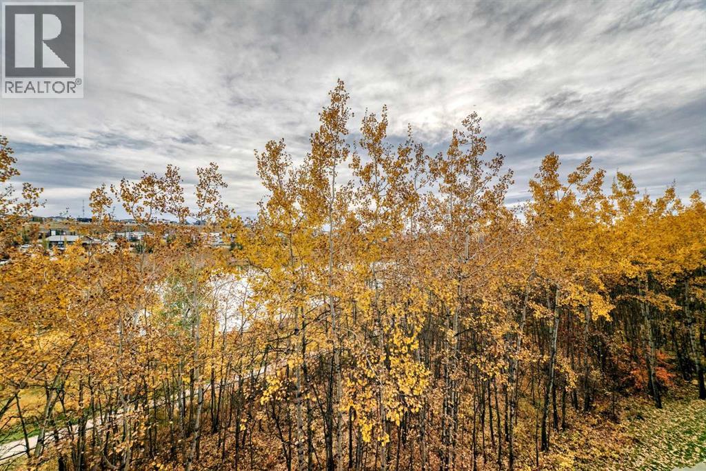 216, 45 Aspenmont Heights SW, Calgary — photo 12