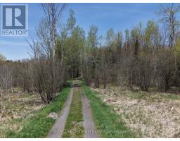 Pt Lt 4-5 Con 13 Henry Road, Bracebridge), ON P1L1X2 Photo 11
