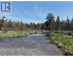 Pt Lt 4-5 Con 13 Henry Road, Bracebridge), ON P1L1X2 Photo 9