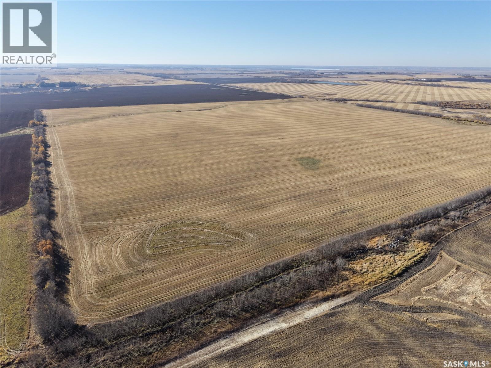 1 Premium Quarter of Grainland Near Yorkton, Wallace Rm No. 243 — photo 6