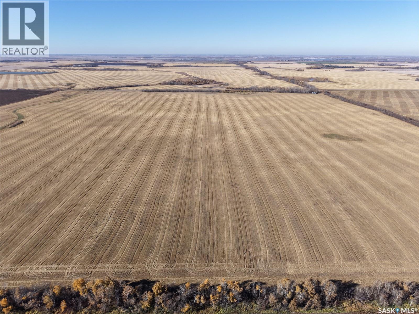 1 Premium Quarter of Grainland Near Yorkton, Wallace Rm No. 243 — photo 8