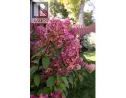 1654 10 Avenue Ne, Medicine Hat, AB T1A6G5 Photo 44