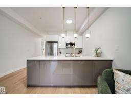#228 10531 117 St Nw, Edmonton, AB T5H0A8 Photo 6