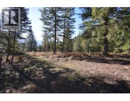 1025 Kelly Drive, Shoreacres, BC V1N4P5 Photo 36