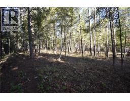 1025 Kelly Drive, Shoreacres, BC V1N4P5 Photo 35