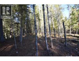 1025 Kelly Drive, Shoreacres, BC V1N4P5 Photo 34