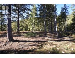 1025 Kelly Drive, Shoreacres, BC V1N4P5 Photo 37