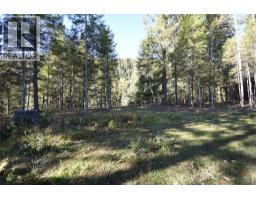 1025 Kelly Drive, Shoreacres, BC V1N4P5 Photo 39