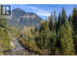 6960 Waverly Trail, Revelstoke, BC V0E2S0 Photo 17