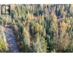 6960 Waverly Trail, Revelstoke, BC V0E2S0 Photo 12