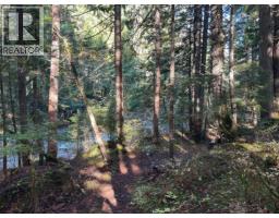 6960 Waverly Trail, Revelstoke, BC V0E2S0 Photo 20