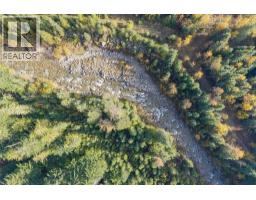 6960 Waverly Trail, Revelstoke, BC V0E2S0 Photo 13