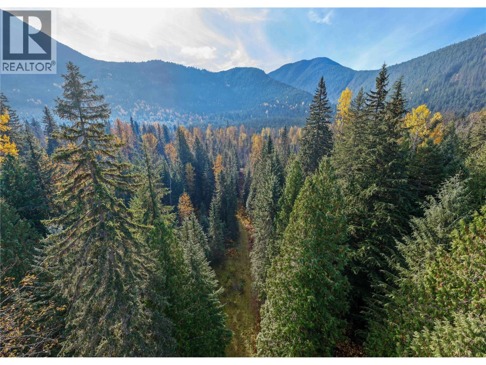 6960 Waverly Trail, Revelstoke - Image 1