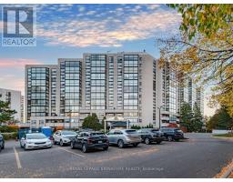 303 - 20 Harding Boulevard W, Richmond Hill, ON L4C9S4 Photo 33