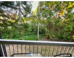 203 5664 200 Street, Langley, BC V3A1M8 Photo 9