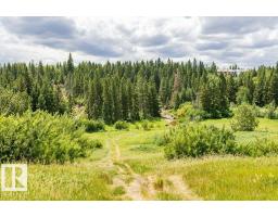 10439 14 Av Nw Nw, Edmonton, AB T6J5R7 Photo 53