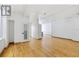 201 - 59 Cameron Street, Toronto, ON M5T2H1 Photo 11
