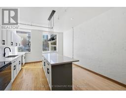 201 - 59 Cameron Street, Toronto, ON M5T2H1 Photo 18