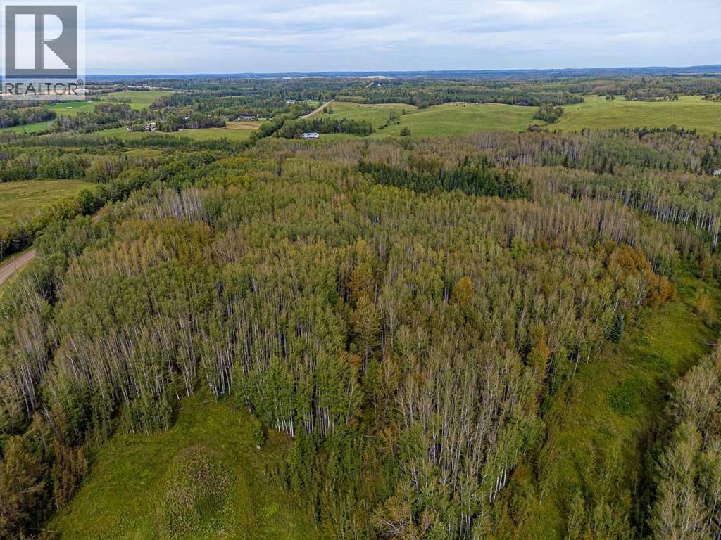 SW-29-49-5-W5, Rural Brazeau County — photo 13