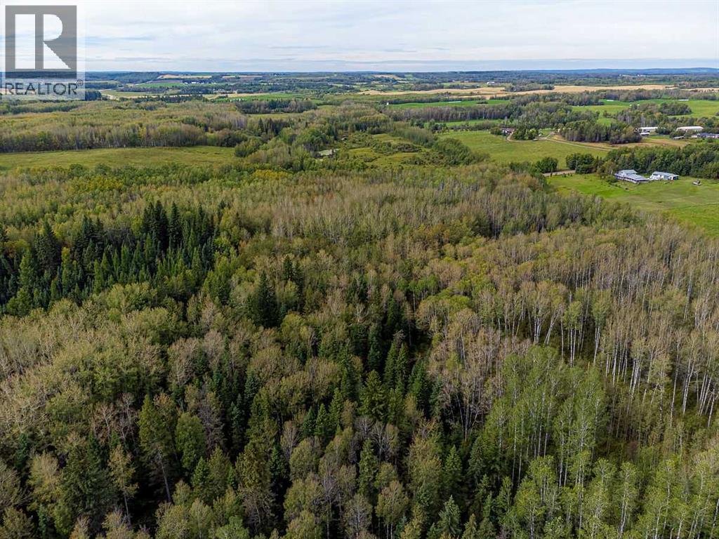 SW-29-49-5-W5, Rural Brazeau County — photo 15
