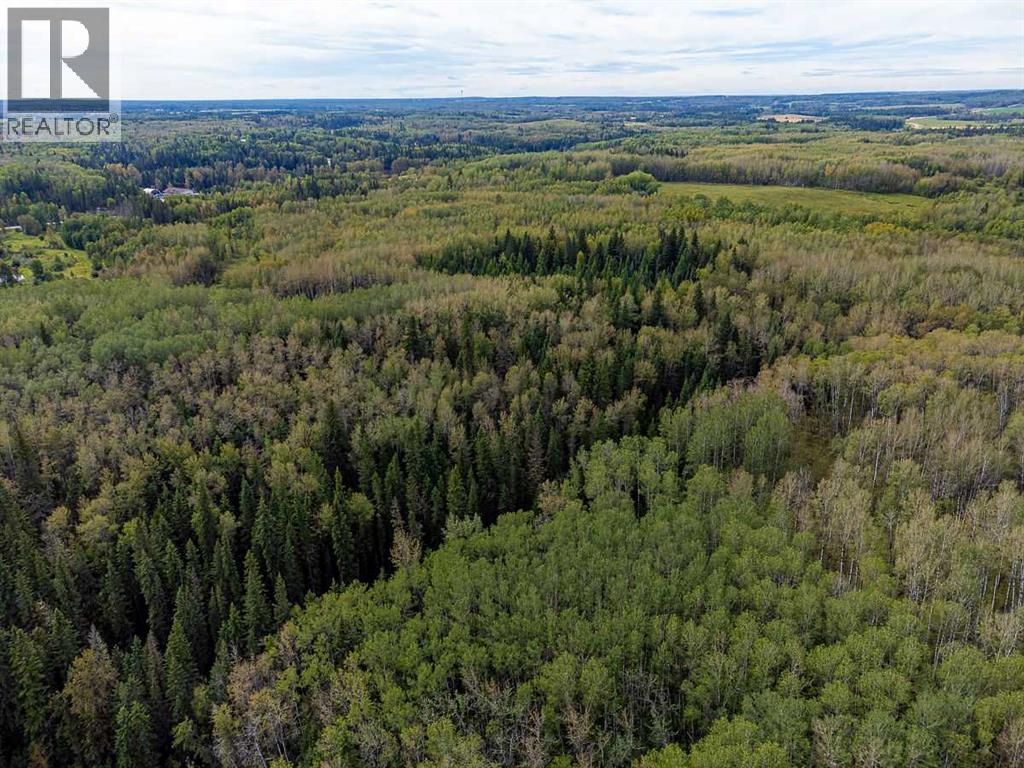 SW-29-49-5-W5, Rural Brazeau County — photo 16
