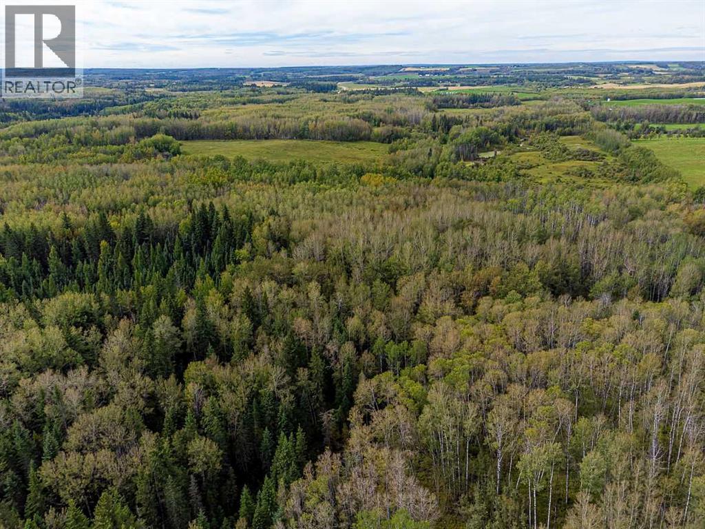 SW-29-49-5-W5, Rural Brazeau County — photo 17