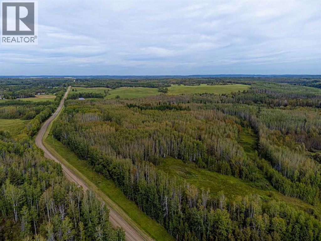 SW-29-49-5-W5, Rural Brazeau County — photo 19