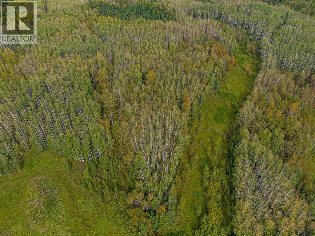 SW-29-49-5-W5, Rural Brazeau County — photo 23