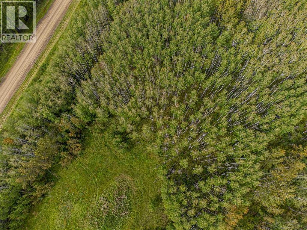 SW-29-49-5-W5, Rural Brazeau County — photo 24