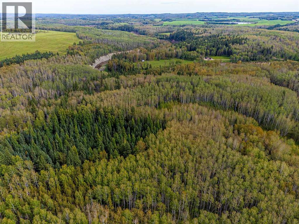 SW-29-49-5-W5, Rural Brazeau County — photo 25