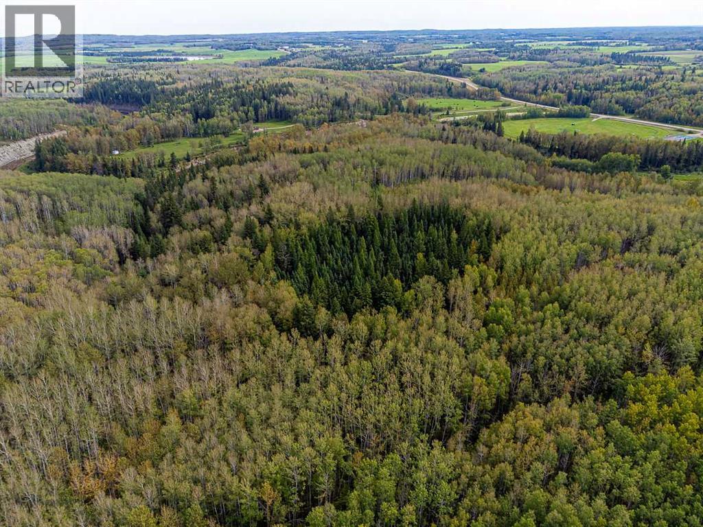 SW-29-49-5-W5, Rural Brazeau County — photo 26