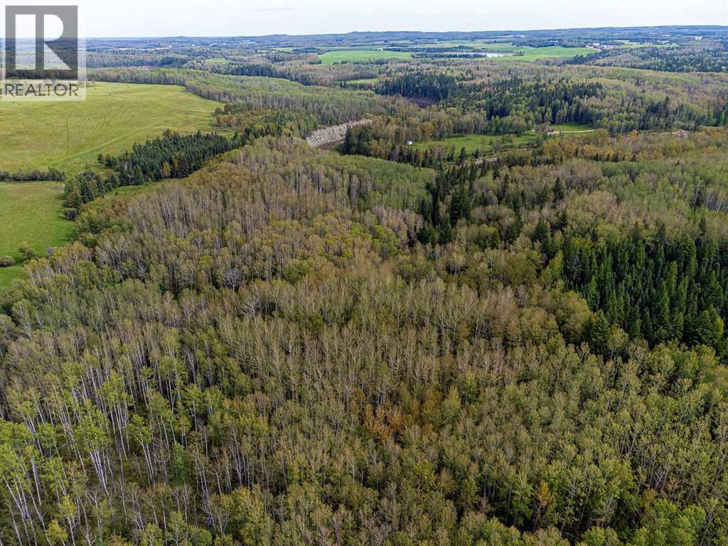 SW-29-49-5-W5, Rural Brazeau County — photo 27