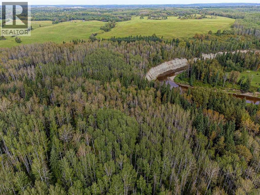 SW-29-49-5-W5, Rural Brazeau County — photo 4