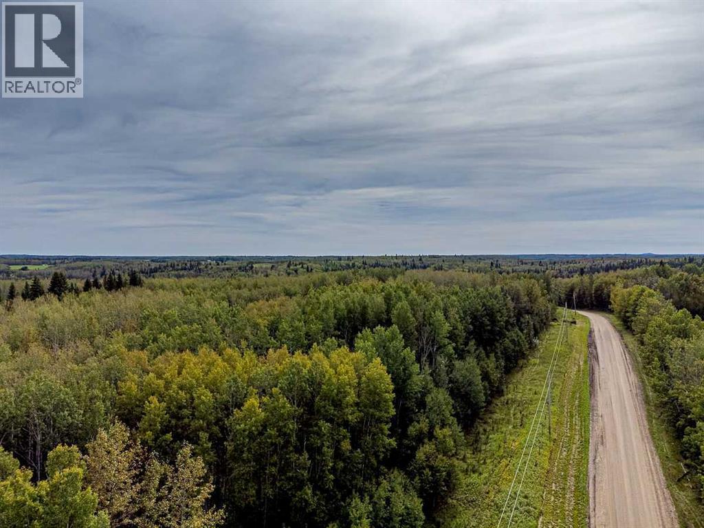 SW-29-49-5-W5, Rural Brazeau County — photo 5