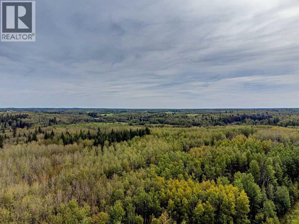 SW-29-49-5-W5, Rural Brazeau County — photo 6