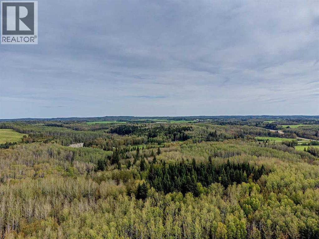 SW-29-49-5-W5, Rural Brazeau County — photo 7