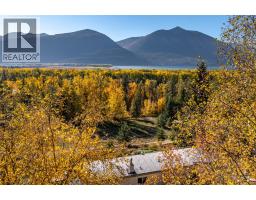 8732 3a Highway, Sirdar, BC V0B2N1 Photo 55