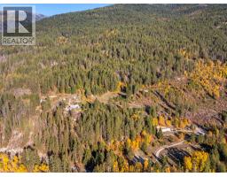 8732 3a Highway, Sirdar, BC V0B2N1 Photo 70