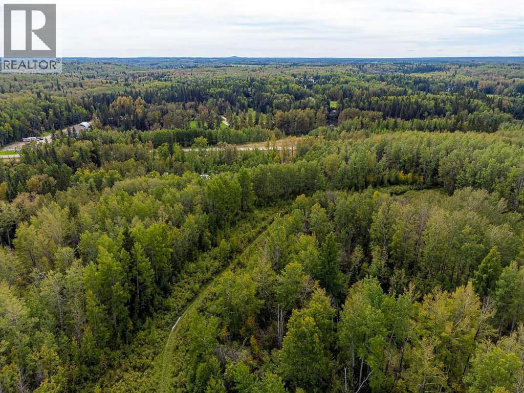 5430 TWP ROAD 494, Rural Brazeau County — photo 10