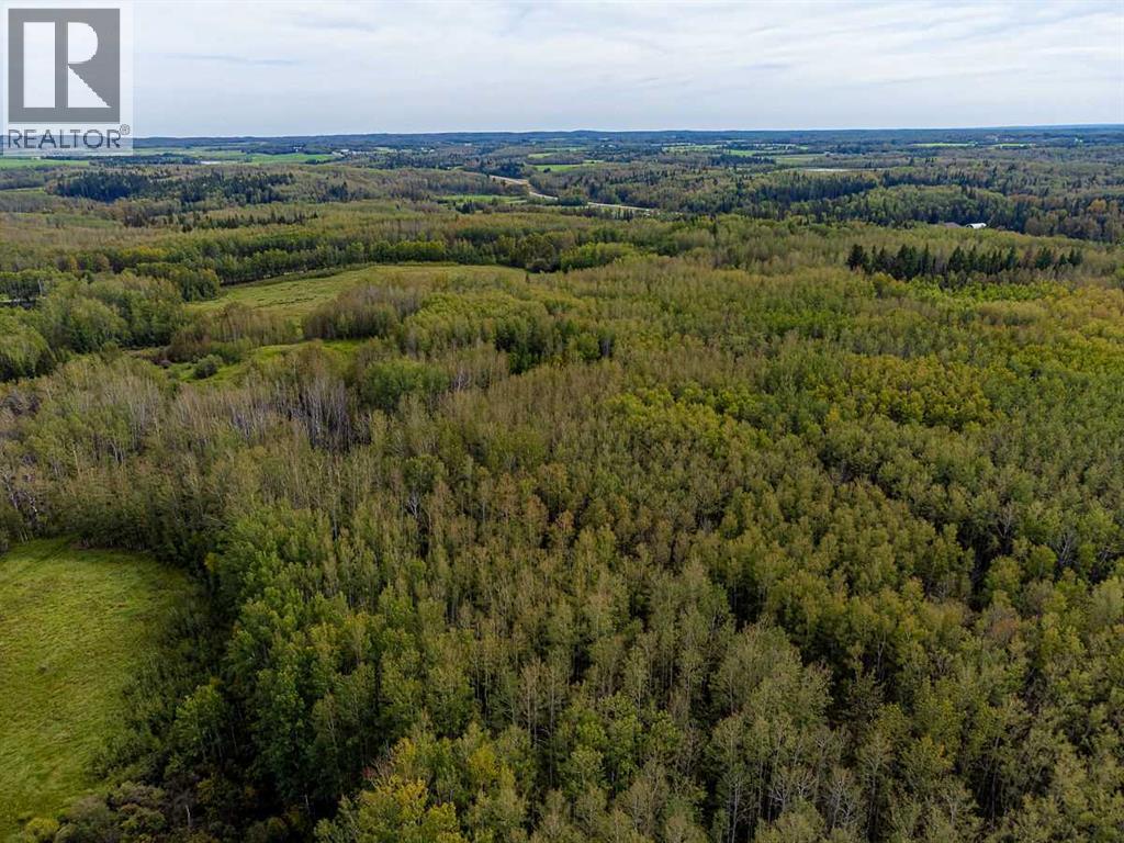 5430 TWP ROAD 494, Rural Brazeau County — photo 17