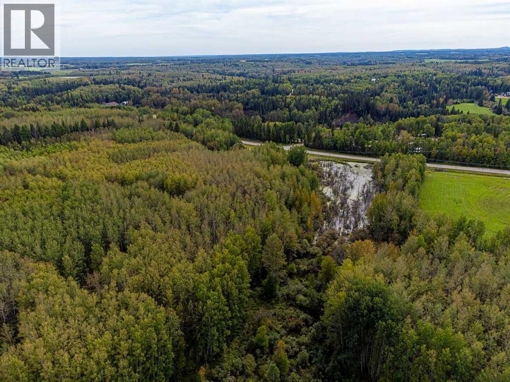 5430 TWP ROAD 494, Rural Brazeau County — photo 18