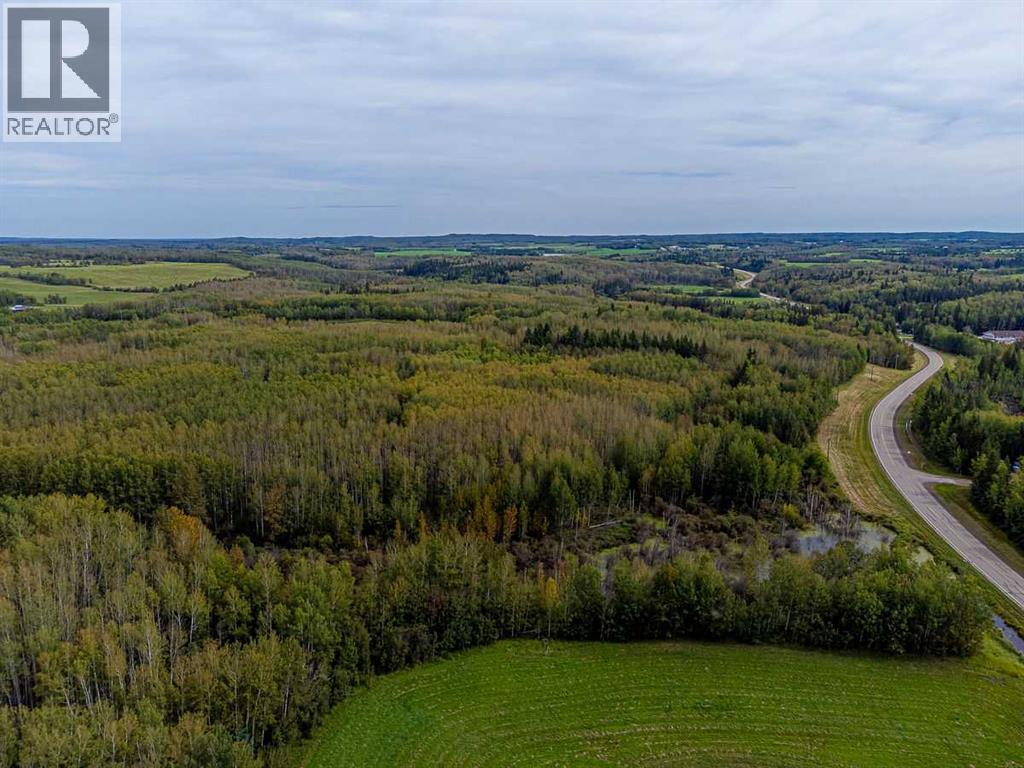 5430 TWP ROAD 494, Rural Brazeau County — photo 19
