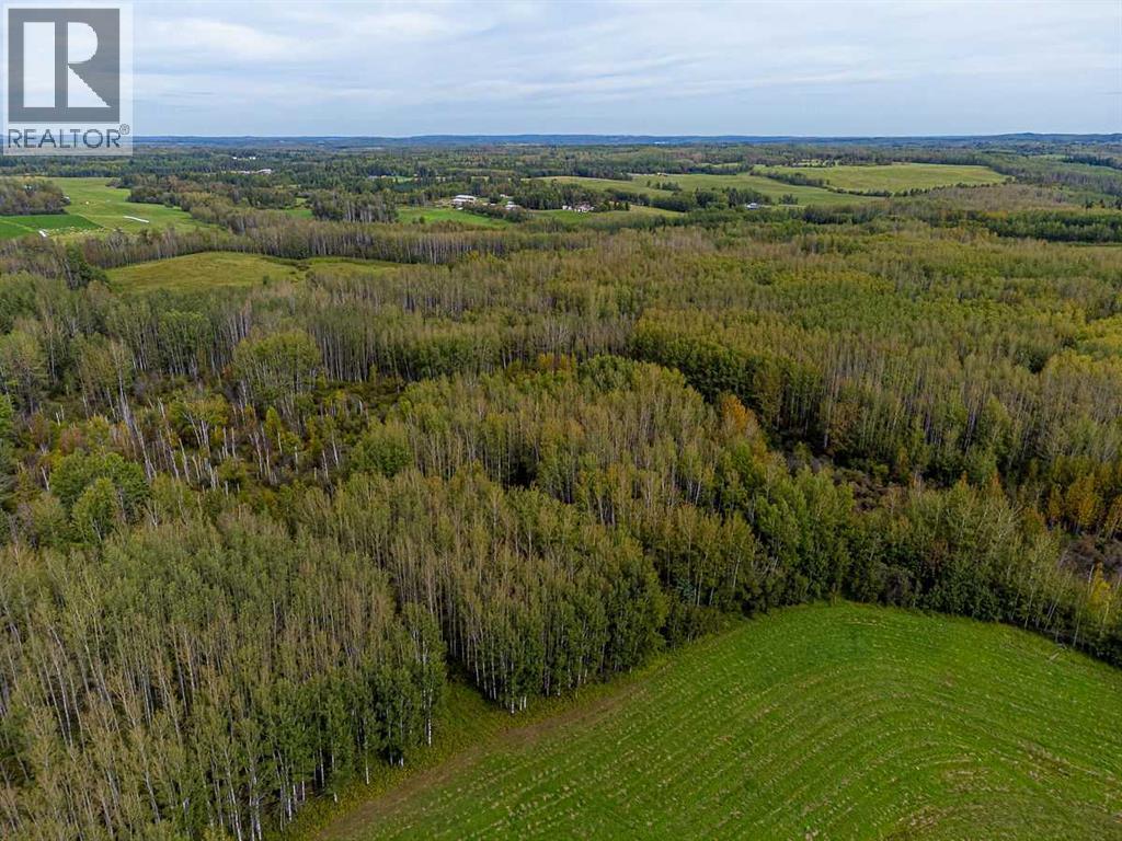 5430 TWP ROAD 494, Rural Brazeau County — photo 20