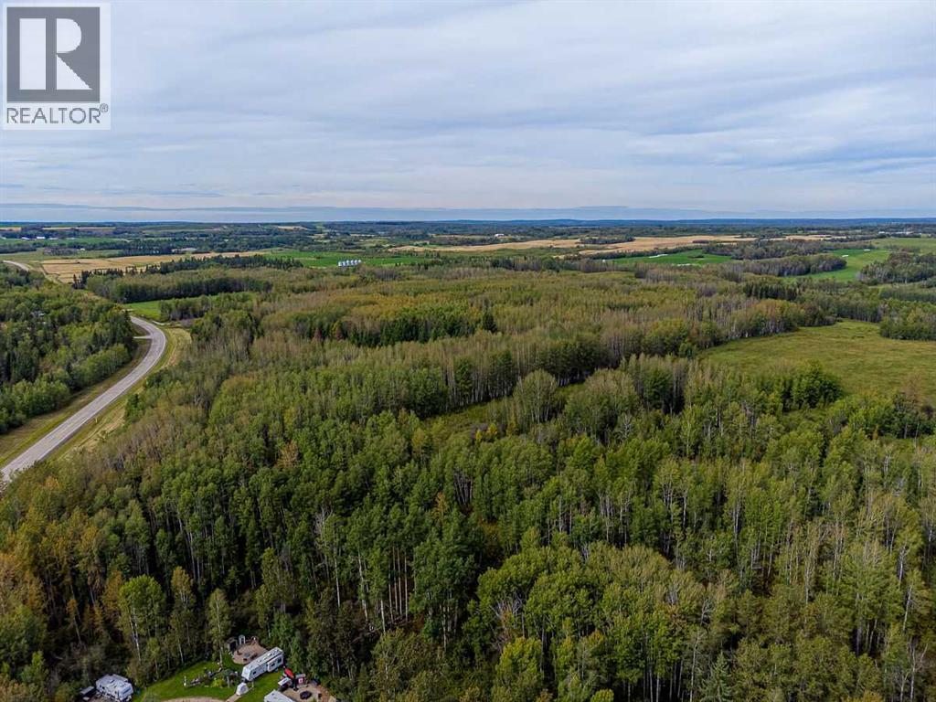 5430 TWP ROAD 494, Rural Brazeau County — photo 22