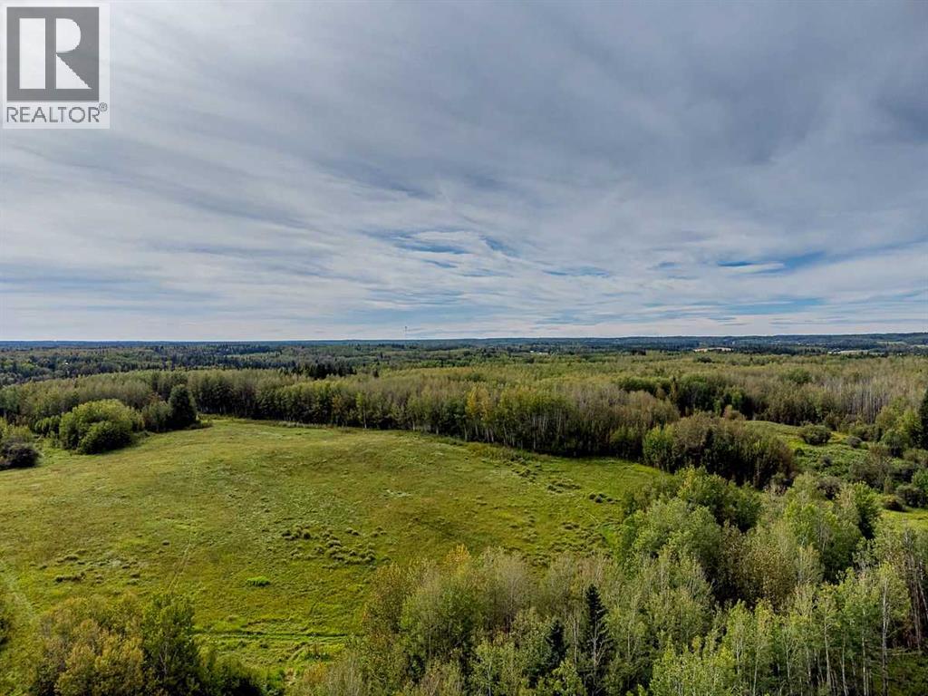 5430 TWP ROAD 494, Rural Brazeau County — photo 3