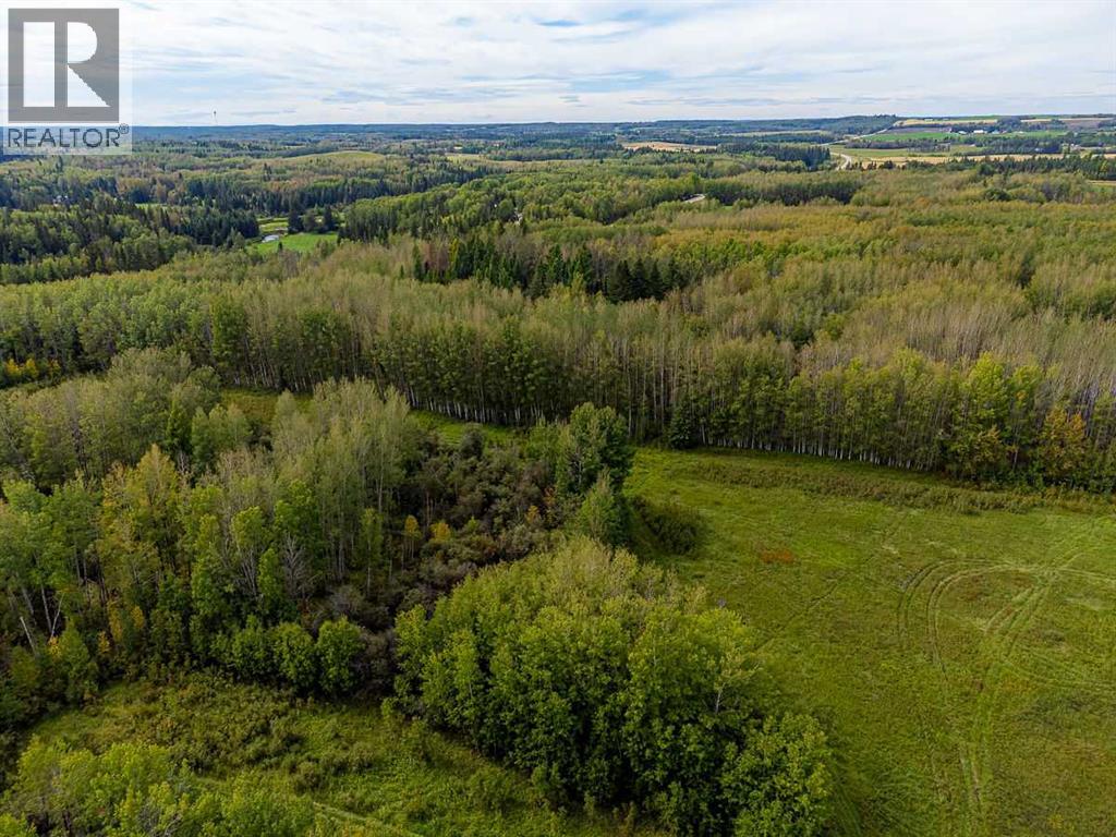 5430 TWP ROAD 494, Rural Brazeau County — photo 7