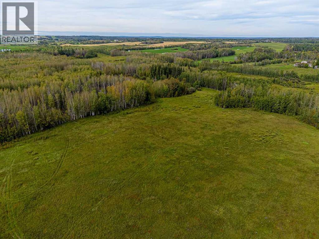 5430 TWP ROAD 494, Rural Brazeau County — photo 8