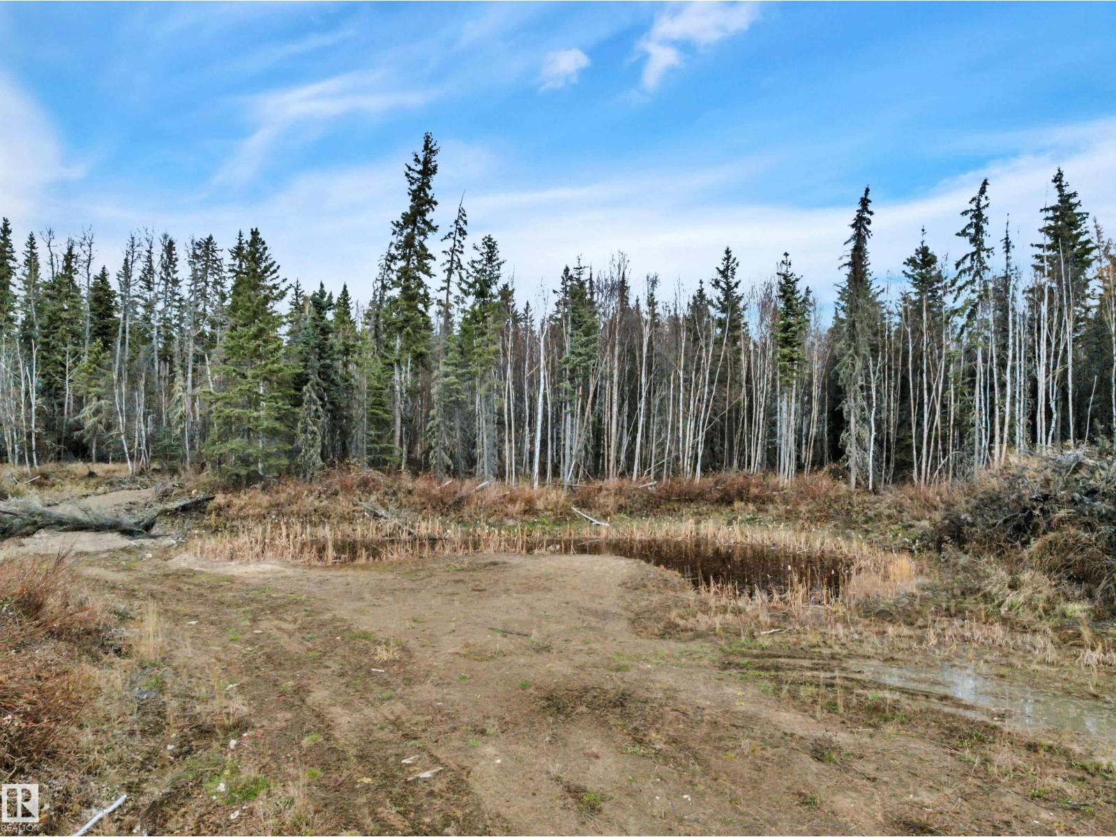 #3 12006 Twp Rd 533a, Rural Yellowhead — photo 15