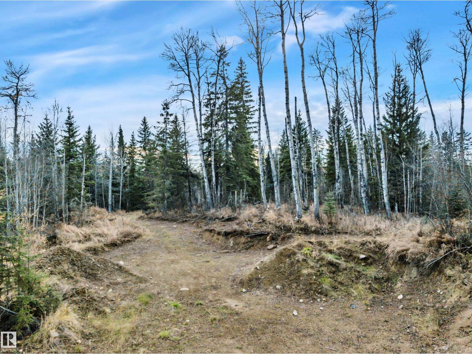 #3 12006 Twp Rd 533a, Rural Yellowhead — photo 22